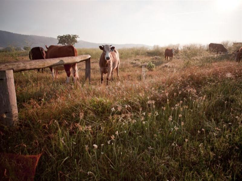 84 Valley Street, Gosforth NSW 2320