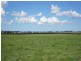 Hinton NSW 2321