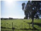 Hinton NSW 2321