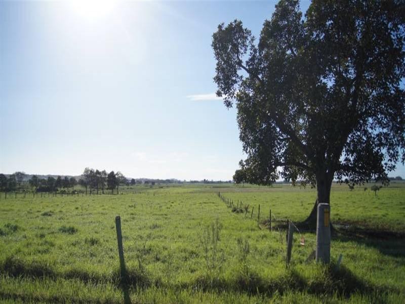 Hinton NSW 2321