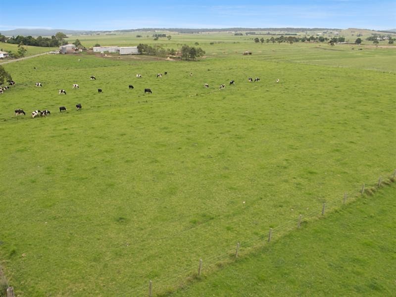 Hinton NSW 2321