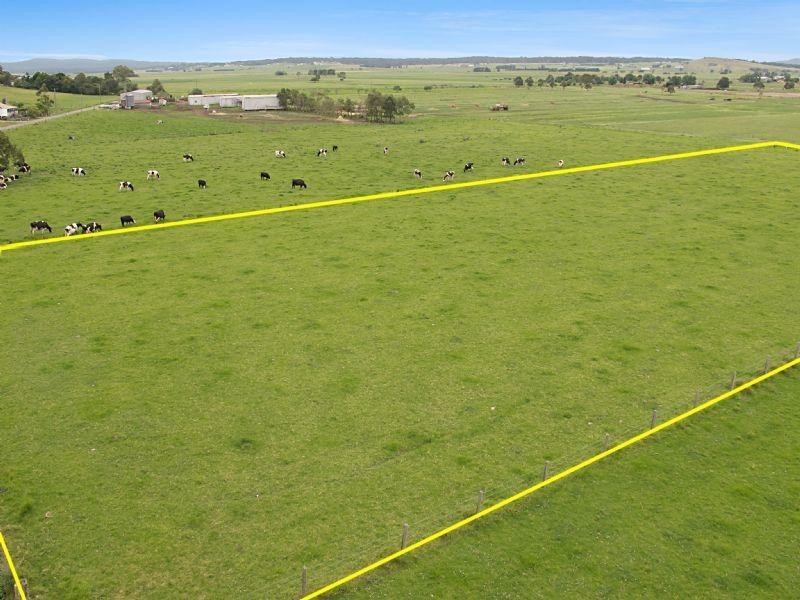 Hinton NSW 2321