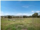 321 Martins Creek Road, Paterson NSW 2421