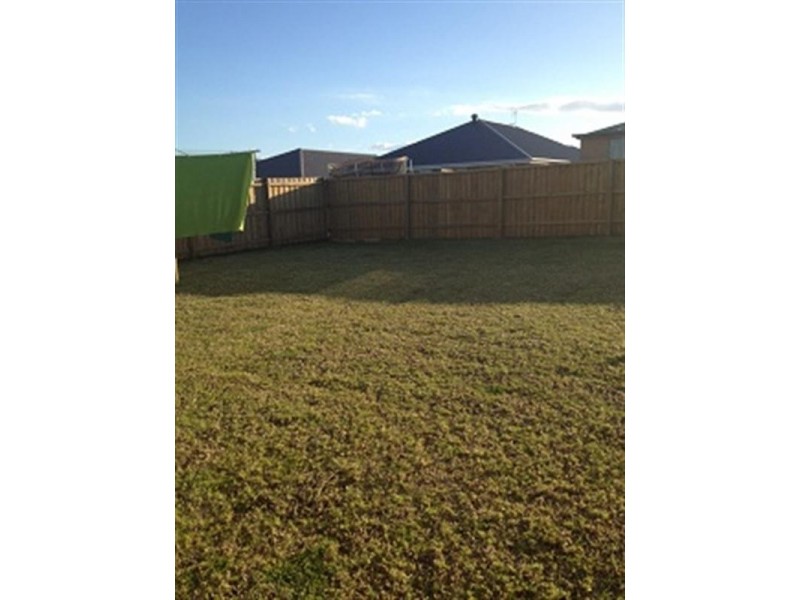 22 Teal Street, Aberglasslyn NSW 2320