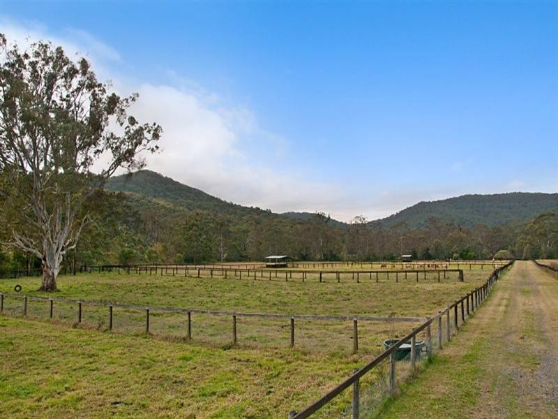 1241 Leggetts Drive, Mount Vincent NSW 2323