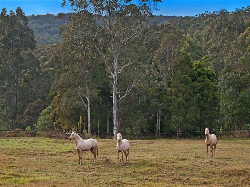 1241 Leggetts Drive, Mount Vincent NSW 2323