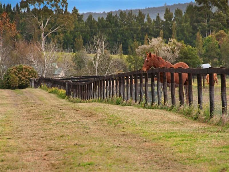 1241 Leggetts Drive, Mount Vincent NSW 2323