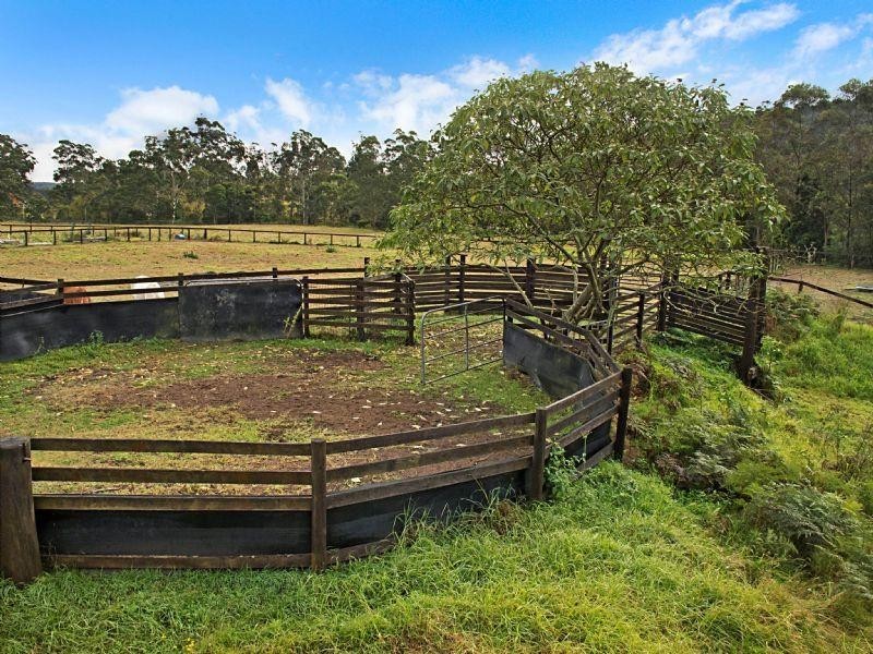 1241 Leggetts Drive, Mount Vincent NSW 2323