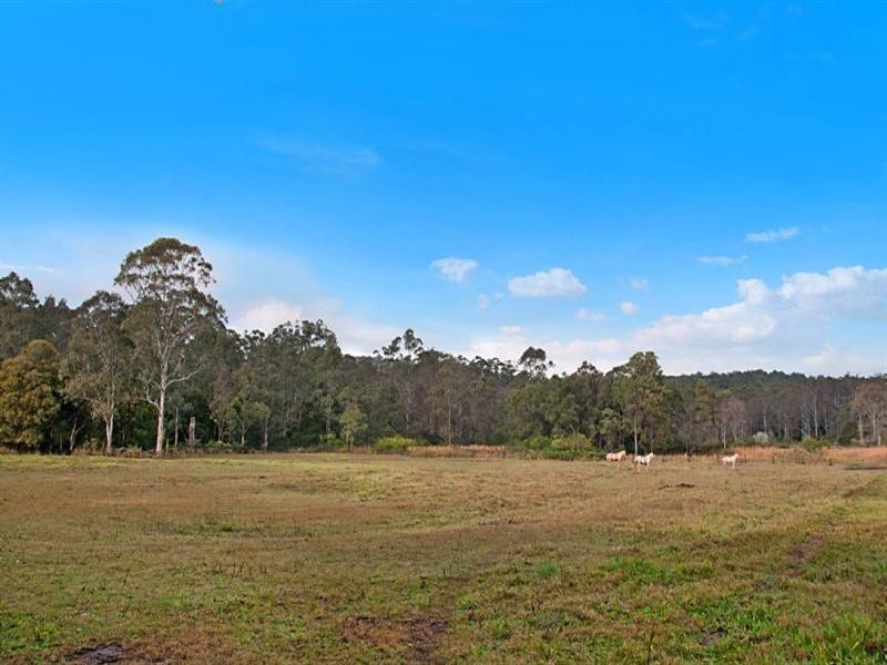 1241 Leggetts Drive, Mount Vincent NSW 2323