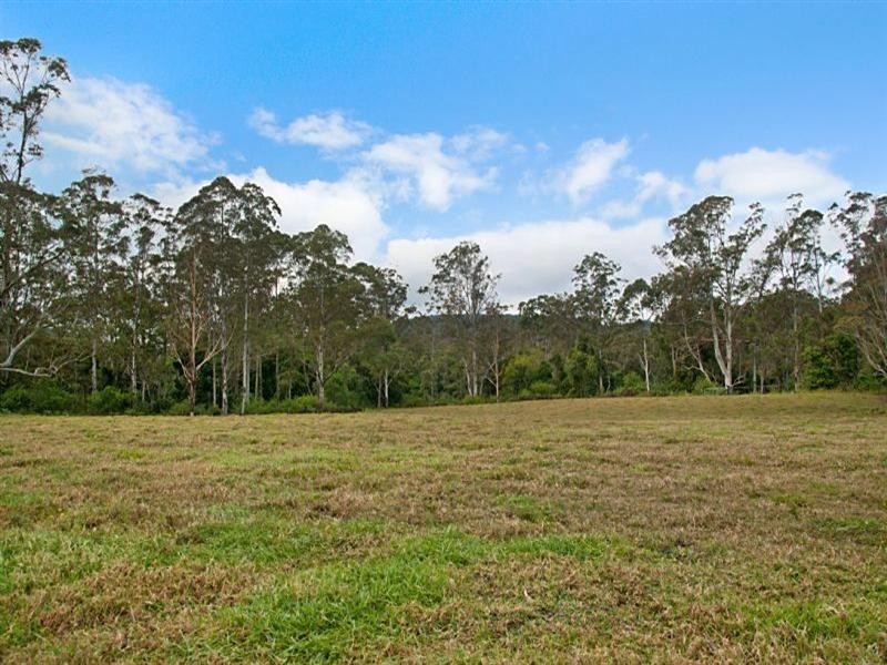 1241 Leggetts Drive, Mount Vincent NSW 2323