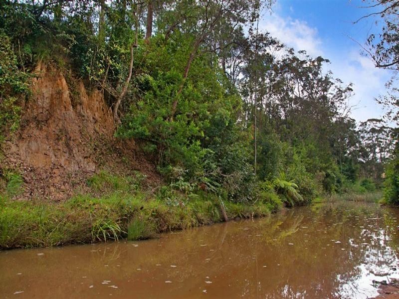 1241 Leggetts Drive, Mount Vincent NSW 2323