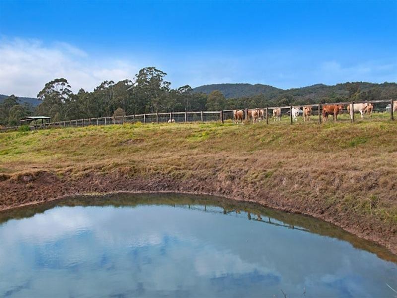 1241 Leggetts Drive, Mount Vincent NSW 2323