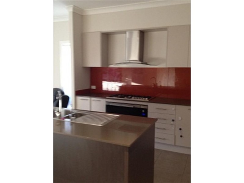 29 Arrowgrass Street, Aberglasslyn NSW 2320