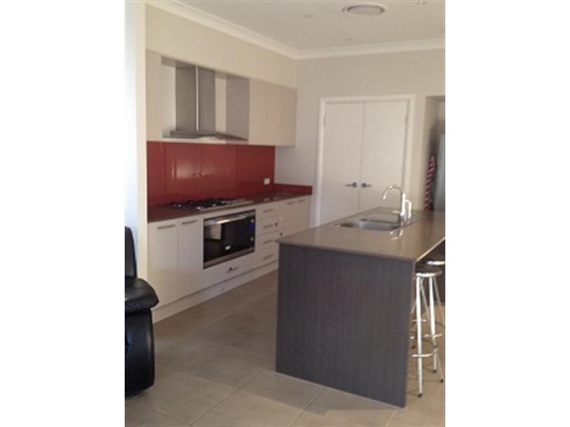 29 Arrowgrass Street, Aberglasslyn NSW 2320