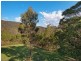 352 Duns Creek Road, Duns Creek NSW 2321
