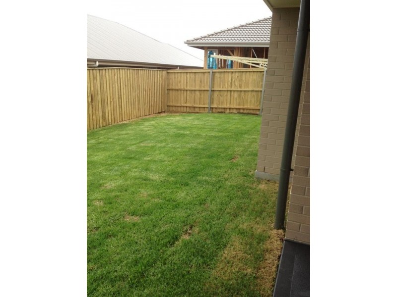 6 Grebe Street, Aberglasslyn NSW 2320