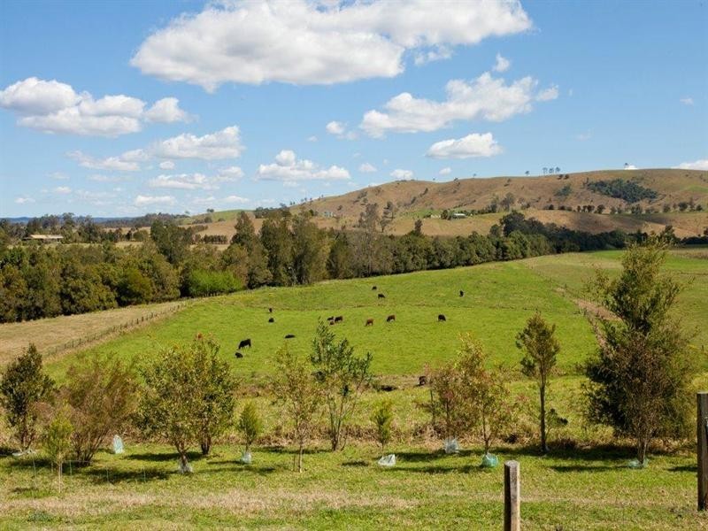 68 Horton Close, Glen Martin NSW 2321