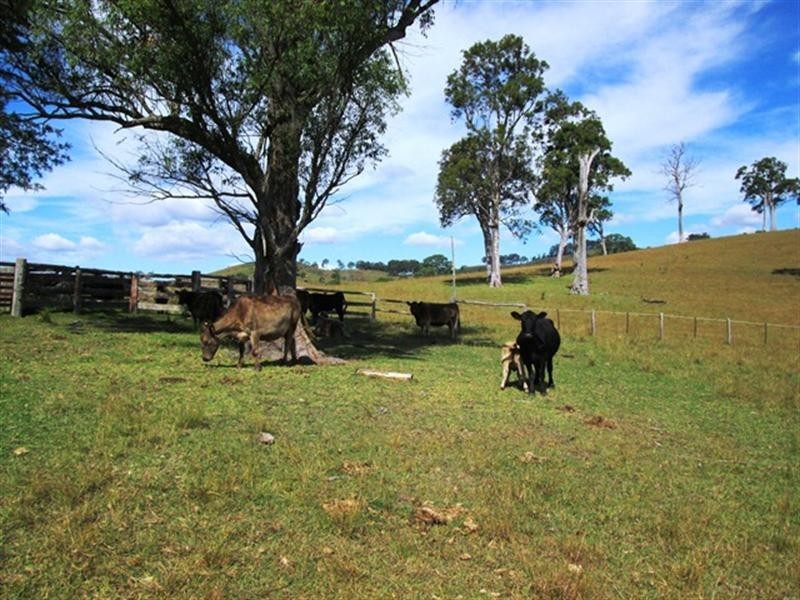 121 Quartpot Creek Road, Underbank NSW 2420