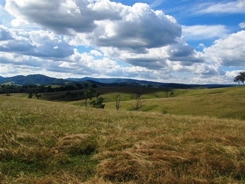 121 Quartpot Creek Road, Underbank NSW 2420