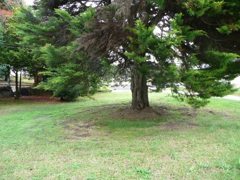 5 Railway Street, Kendall NSW 2439