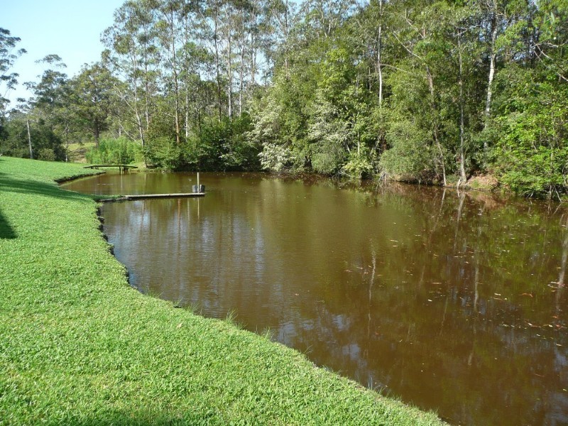 106 McCafferys Road, Hannam Vale NSW 2443