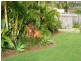 46 Seafront Circuit, Bonny Hills NSW 2445