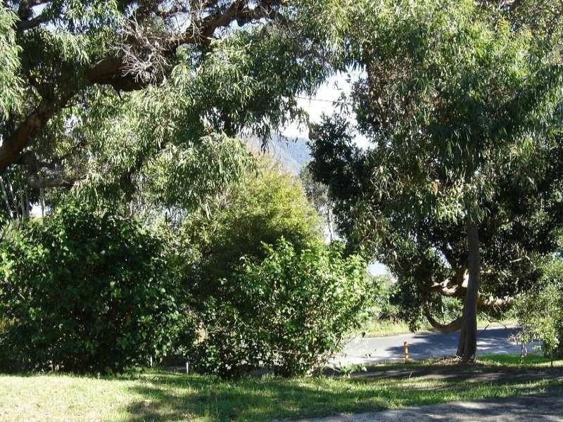 150 Camden Head Road, Dunbogan NSW 2443