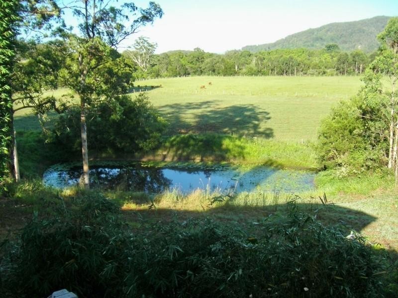 Logans Crossing NSW 2439