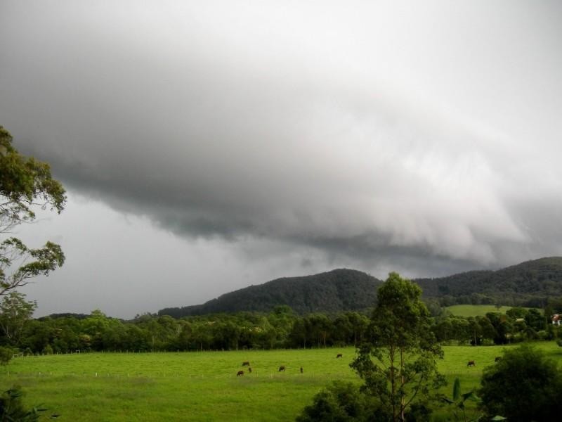 Logans Crossing NSW 2439