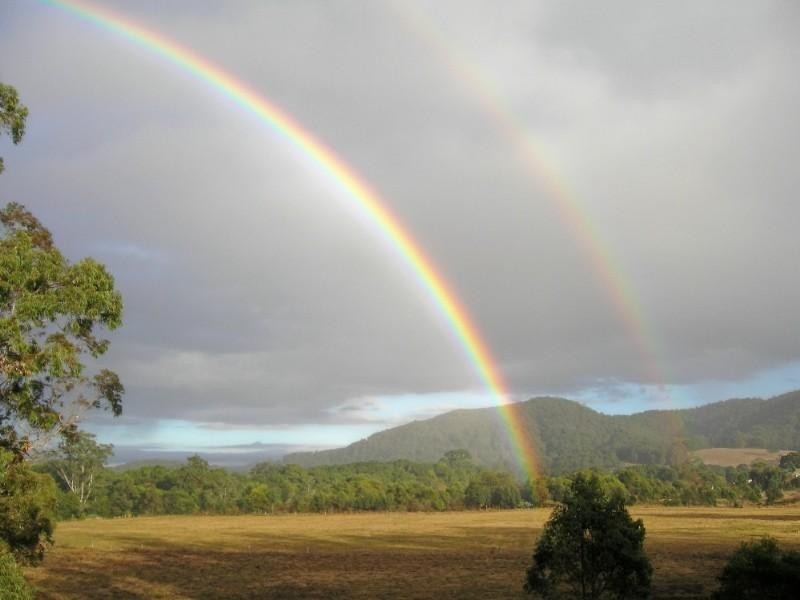 Logans Crossing NSW 2439