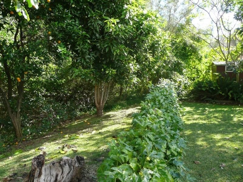 6 Tern Close, Laurieton NSW 2443