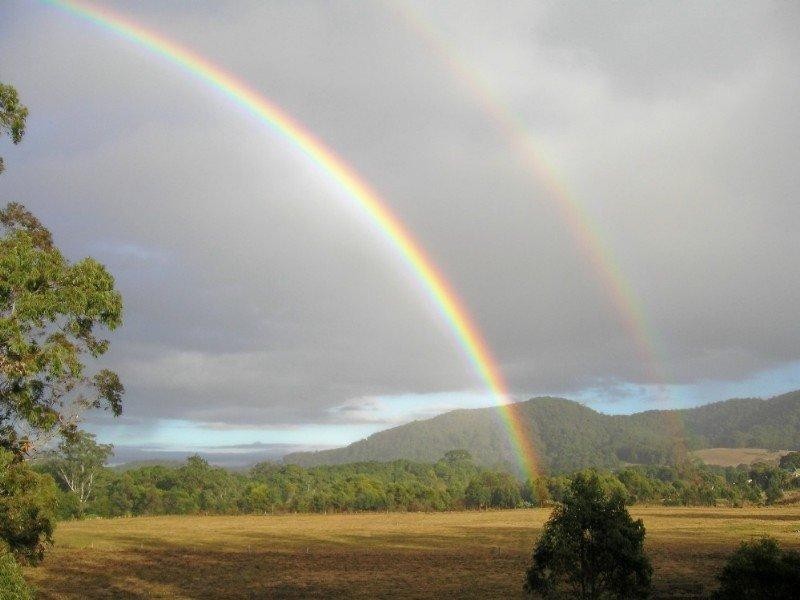 Lot 16 Misty Way, Logans Crossing NSW 2439