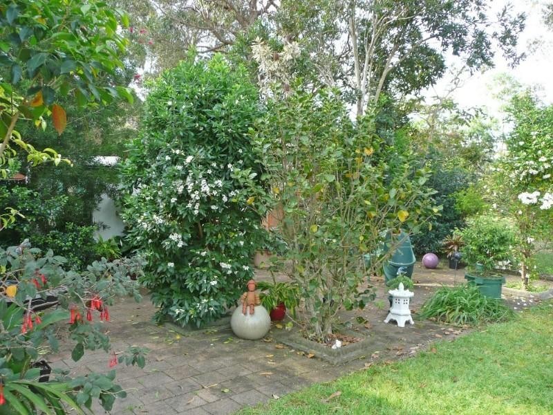15 Kew Road, Laurieton NSW 2443