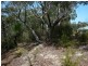Lot 12 Birramal Drive, Dunbogan NSW 2443