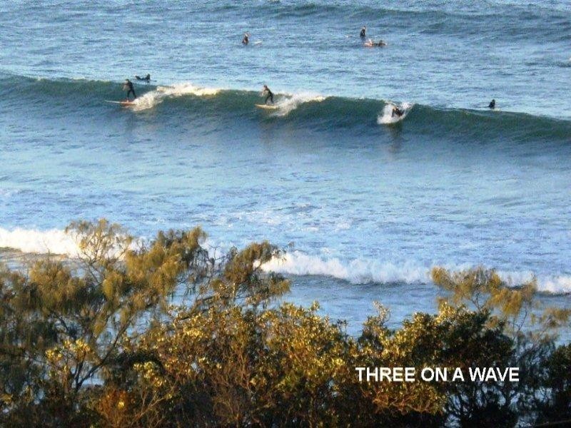 Bonny Hills NSW 2445