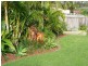 46 Seafront Circuit, Bonny Hills NSW 2445