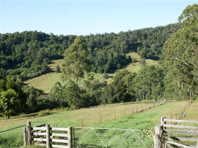 92 Roys Road, Lorne NSW 2439