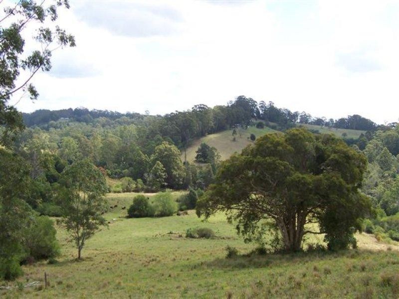 92 Roys Road, Lorne NSW 2439