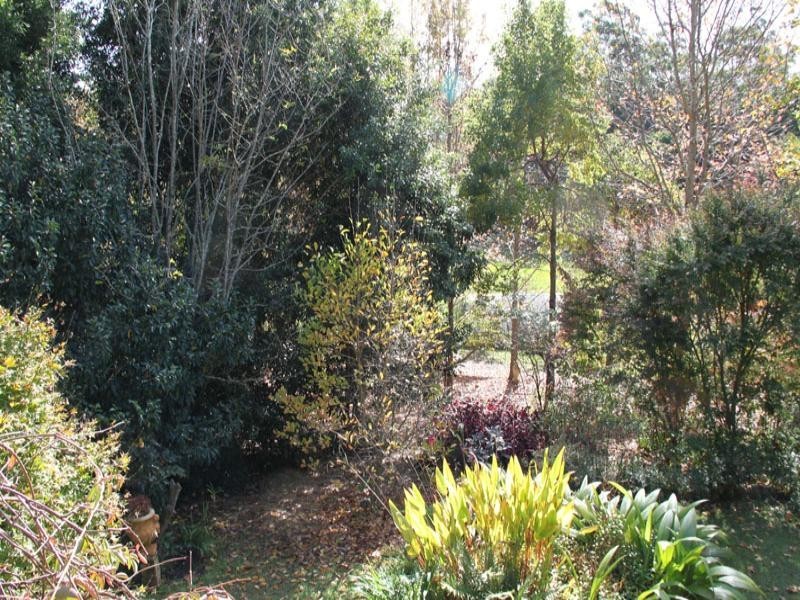 Kendall NSW 2439
