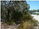 Lot 12 Birramal Drive, Dunbogan NSW 2443
