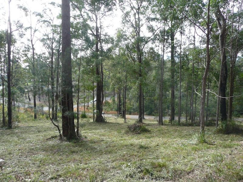 19 Lake Ridge Drive, Kew NSW 2439