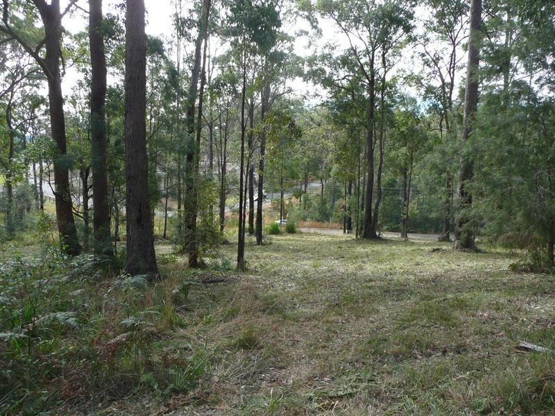 19 Lake Ridge Drive, Kew NSW 2439