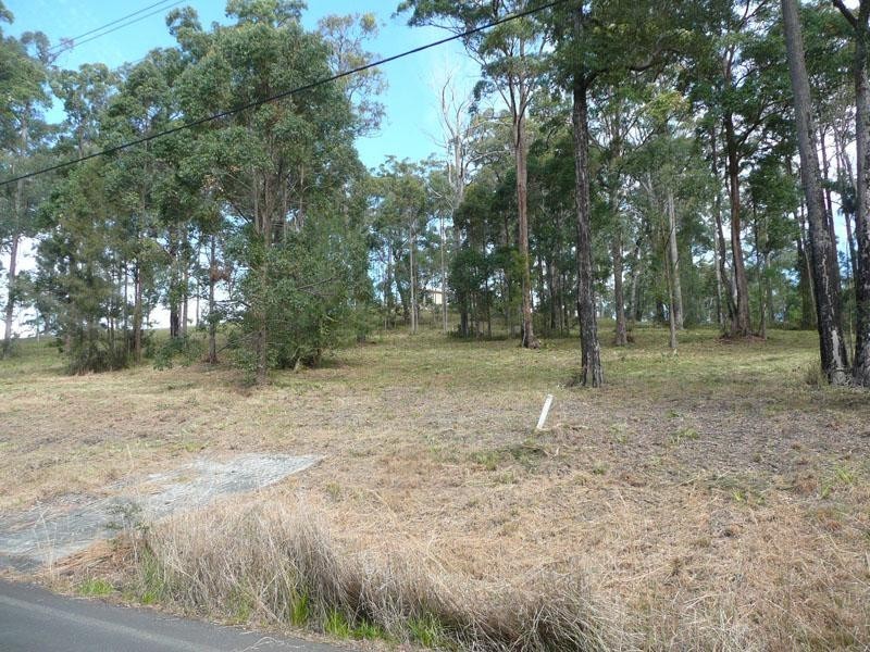19 Lake Ridge Drive, Kew NSW 2439