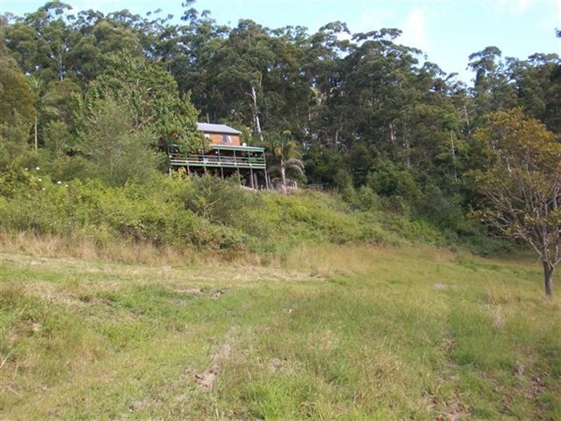 824 Batar Creek Road, Kendall NSW 2439