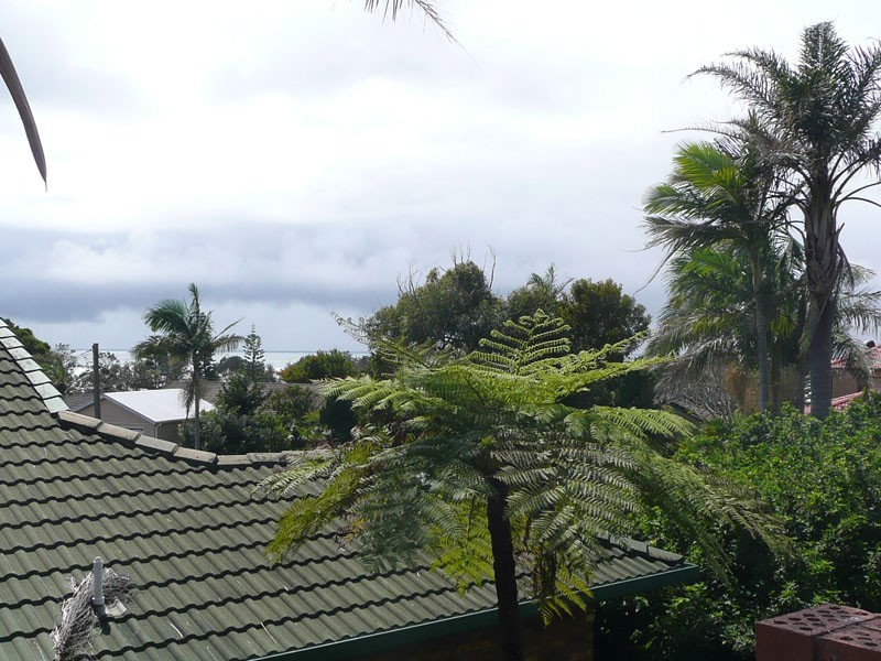 984 Ocean Drive, Bonny Hills NSW 2445