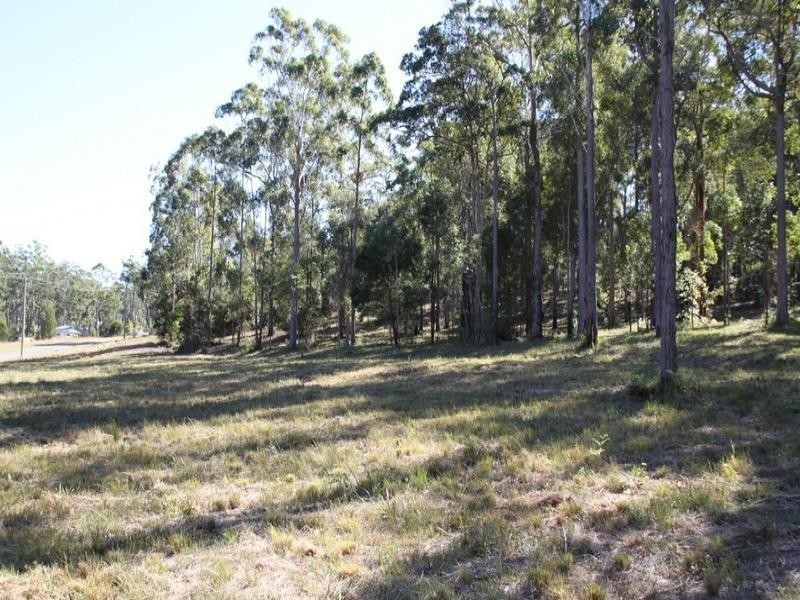 Lot 36 Possum Way, Kew NSW 2439