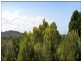 170 Camden Head Road, Camden Head NSW 2443
