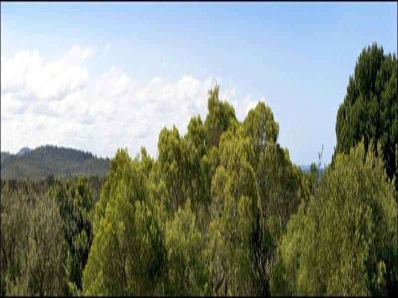 170 Camden Head Road, Camden Head NSW 2443