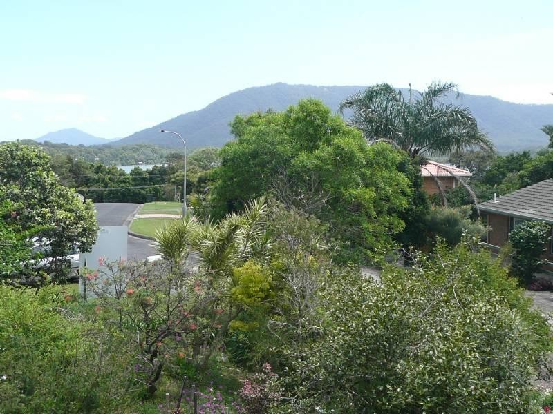 14 Unique Close, Camden Head NSW 2443