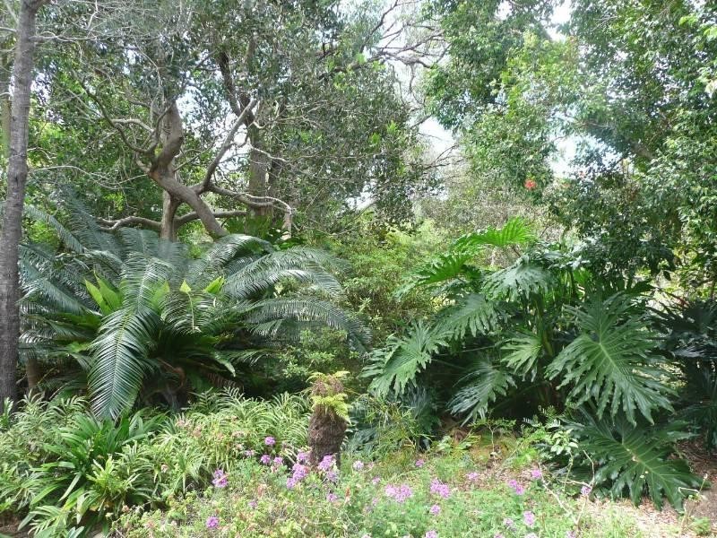 14 Unique Close, Camden Head NSW 2443